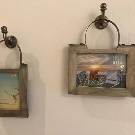 28, Seestern